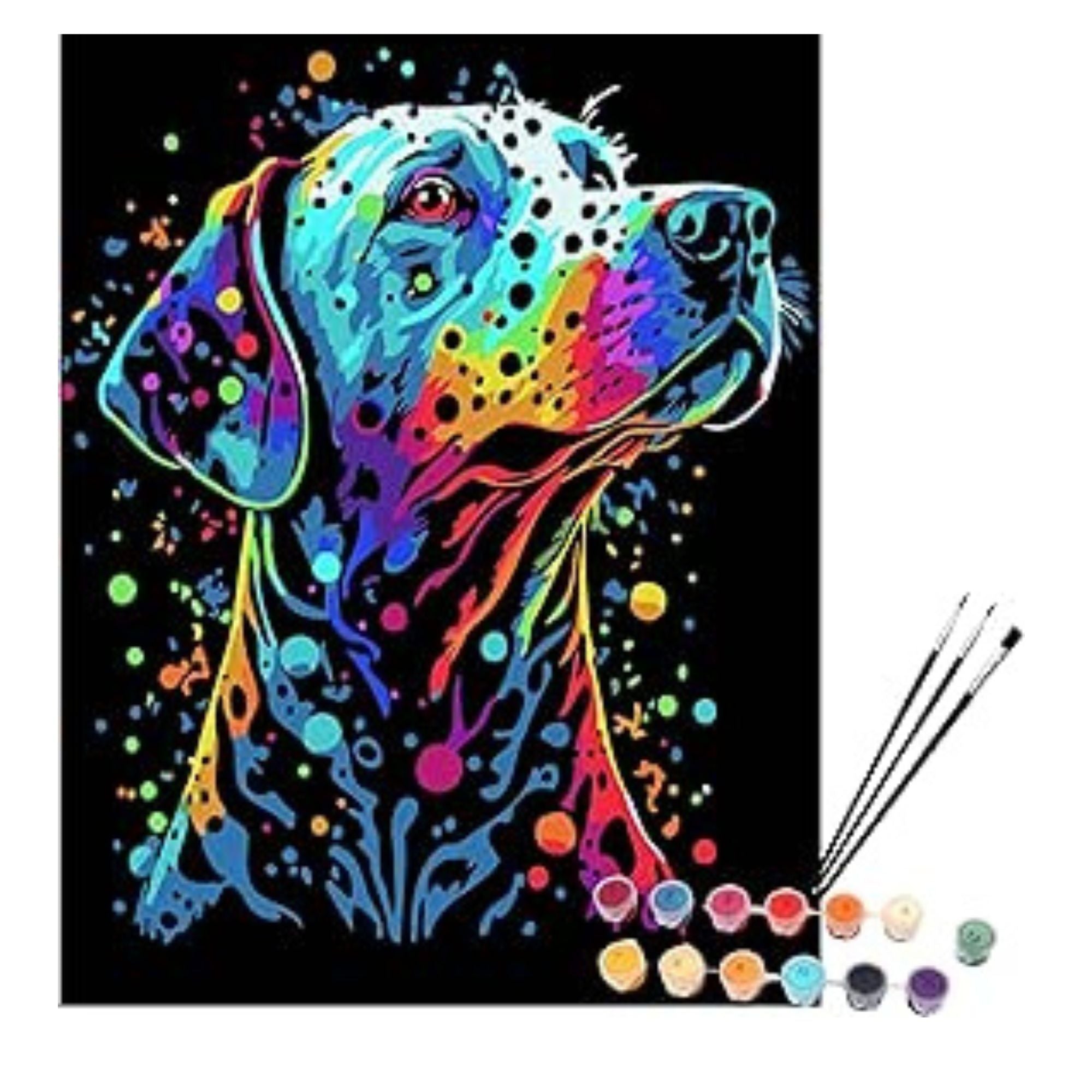 EXERZ Painting by Numbers Kit,30x40cm Canvas with Acrylic Pigment