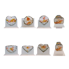 EXZACT Sushi Maker Kit 10pcs, Rice Roll Mould Set 5 Unique Shapes